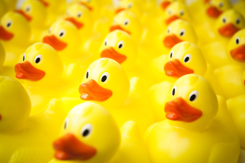 Yellow Ducks