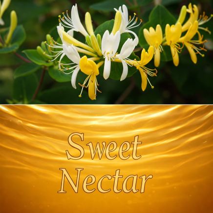 Honeysuckle Sweet Serenity Bath Oil - 250ml