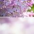 Lilac Bloom Calming Bath Oil - 250ml