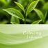 Green Tea Serenity Bath Oil - 250ml